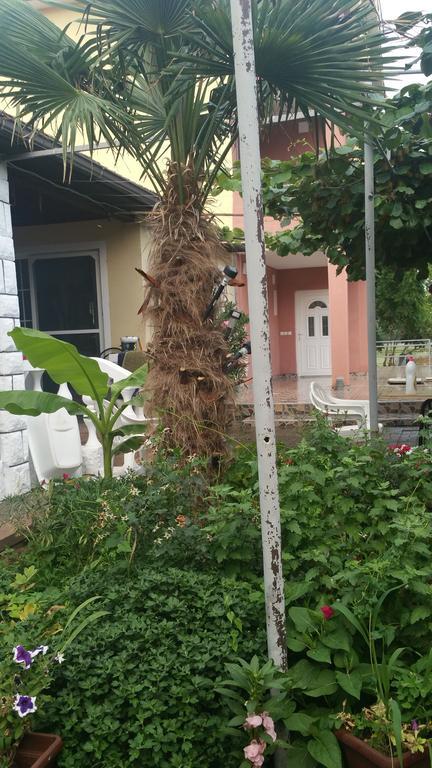 Apartments Ana Dojran Exterior photo