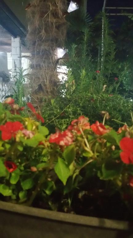 Apartments Ana Dojran Exterior photo